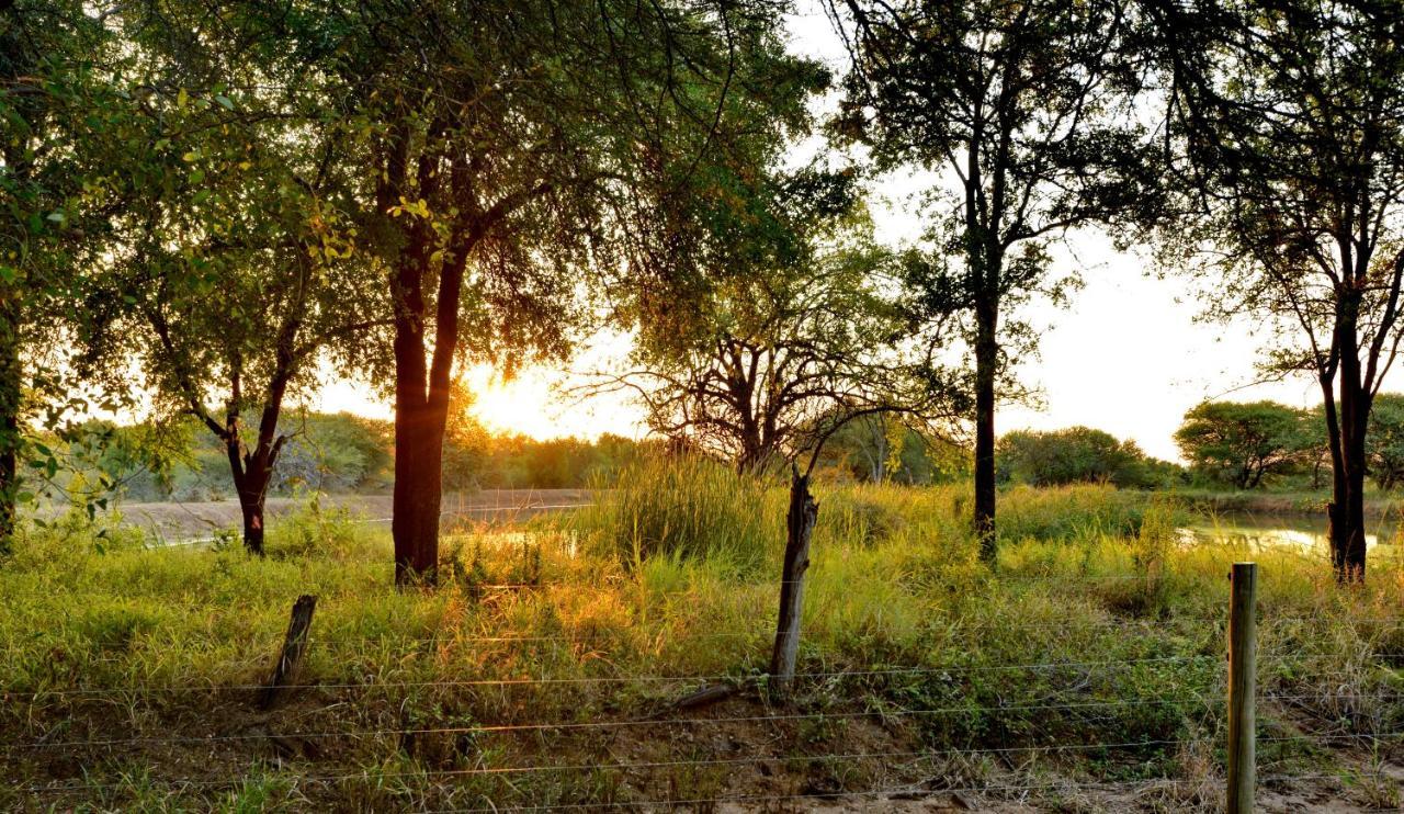 Black Rhino Game Lodge Pilanesberg Bagian luar foto