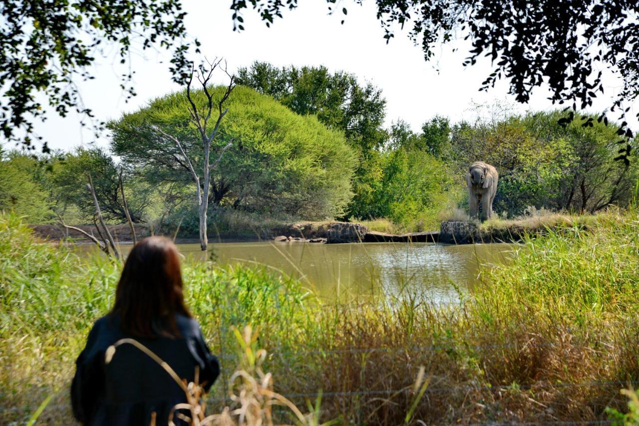 Black Rhino Game Lodge Pilanesberg Bagian luar foto